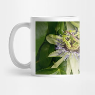 blb passion fruit Mug